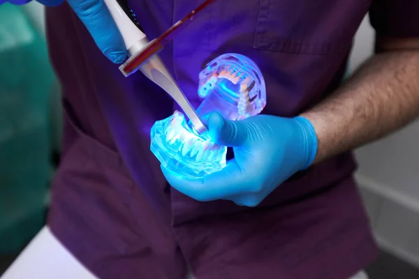 Close-up of dentist using an Ultraviolet lamp, filling tooth on a plastic model of human jaw in a dental clinic. Dentistry. Dental practice. Oral care and hygiene. People Consumerism Service