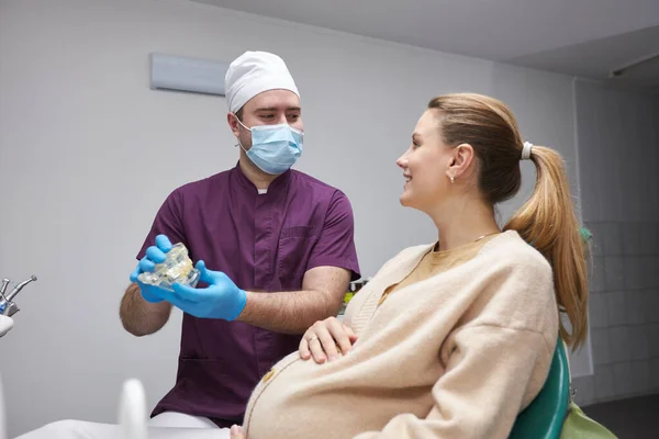 有爱心的男牙医用人类颌骨的塑料样本向一名孕妇病人解释需要做的牙科治疗 并用牙科探头指向它 牙科学概念 — 图库照片