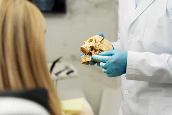 Zbliżenie Rąk Lekarza Stomatologa Niebieskich Rękawiczkach Chirurgicznych Trzymającego Model Ludzkiego — Zdjęcie stockowe