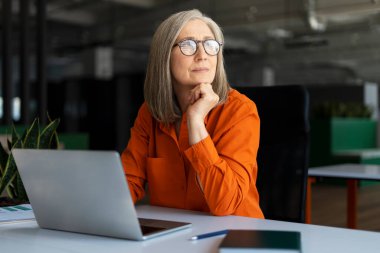Düşünceli üst düzey yöneticinin portresi, başarılı gri saçlı iş kadını dizüstü bilgisayar kullanıyor, internette çalışıyor, modern ofiste proje planlıyor. Ciddi bir çalışan iş yerinde oturmaktan kaçınıyor.