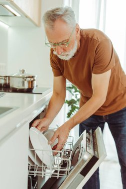 Ciddi bir son sınıf öğrencisinin portresi, gözlük takıyor ve evde bulaşık makinesini bulaşık makinesiyle dolduruyor. Çekici büyükbaba ev işleriyle ilgileniyor. Ev işi kavramı