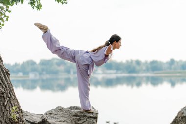 Ciddi kadın kungfu ustası kimono eğitimi alıyor, suyun yakınındaki taşın üzerinde Wushu çalışıyor, kopyalama uzayı. Sağlıklı yaşam tarzı, dövüş sanatları konsepti