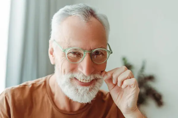 面带微笑 灰白头发 戴着眼镜 留着胡子 看着相机的养老金领取者的画像 英俊的祖父在客厅里摆姿势拍照 购物概念 — 图库照片