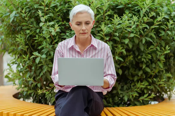 Ernstige Senior Grijze Harige Zakenvrouw Met Behulp Van Laptop Computer — Stockfoto
