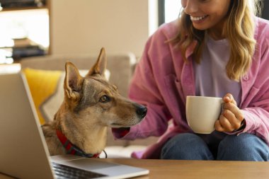 Kanepede oturan, dizüstü bilgisayar kullanan, kupa tutan, köpeğini okşayan, kafede çalışan, uzaktan kumandalı bir kadın. Hayvan konseptine bayılırım.