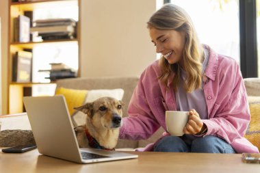Çekici bir kadının gülümseyen portresi kanepede oturuyor, dizüstü bilgisayar kullanıyor, bardak tutuyor, evde köpeğini okşuyor. Hayvan konseptine bayılırım.