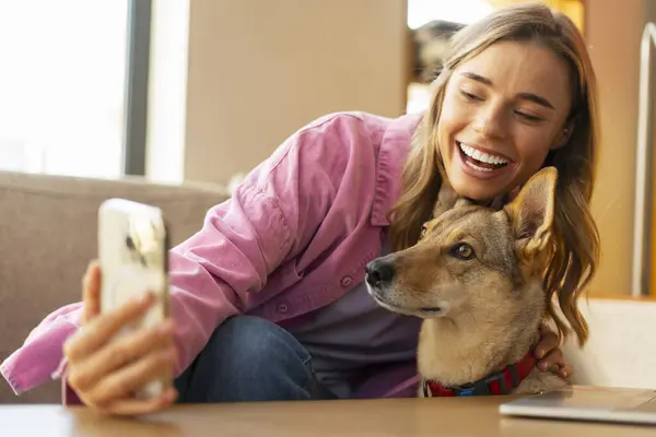 Portrait of happy beautiful woman, influencer holding mobile phone, taking selfie, recording video with pet, dog, sitting on sofa at home. Blogging concept, advertisement