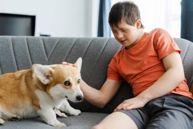 Down sendromlu genç çocuk evdeki rahat kanepesinde onu fırçalarken evcil Corgi köpeğiyle bağ kuruyor. Hayvan konsepti, arkadaşlık