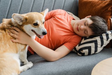 Down sendromlu genç çocuk gri bir kanepede mışıl mışıl uyuyor. Kolları sadık Corgi köpeğine sarılmış.