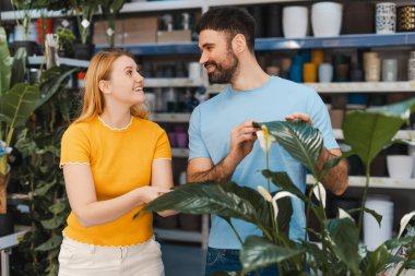 Mutlu genç bir çiftin portresi bir serada saksı bitkisi seçiyor, birbirlerini arıyorlar. Bitki, doğa, alışveriş konsepti