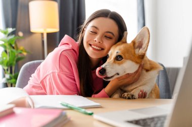 Genç kız, genç kız ders çalışmaya ara verir. Evcil Corgi 'sini, kitaplarla ve dizüstülerle çevrili rahat bir dairede, masasında kucaklayarak öğrenme ve rahatlama için sıcak bir ortam yaratır.