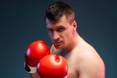 Kırmızı eldivenli kendine güvenen erkek boksör mavi stüdyoda yoğun bir dövüş için hazırlanıyor. Güç ve kararlılık gösteriyor.