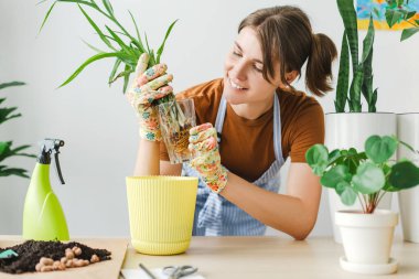 Genç, gülümseyen bir kadın bahçede bahçe aletleri ve masa üzerindeki toprakla çevrili yeni bir saksının içinde bir bitkiyi yeniden saksılıyor. Bahçe konsepti
