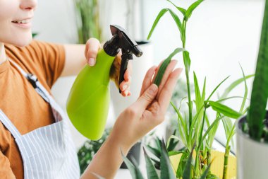 Genç bir kadın ev bitkileriyle mutlu bir şekilde ilgileniyor, apartmanındaki şehir ormanında yapraklara su püskürtüyor. Gülümsüyor, yeşil bitkileriyle ilgileniyor, doğa sever bir yaşam tarzı sergiliyor.