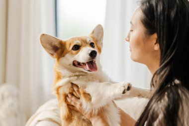 Genç kadın evde dinlenirken mutlu Corgi köpeğini kollarında tutuyor. Köpek, dili dışarıda kadına bakıyor.
