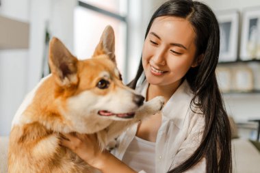 Mutlu, gülümseyen kadın evde Corgi 'siyle bağ kuruyor, neşe ve sevgi saçıyor, evinde oturuyor. Hayvan sevgisi konsepti