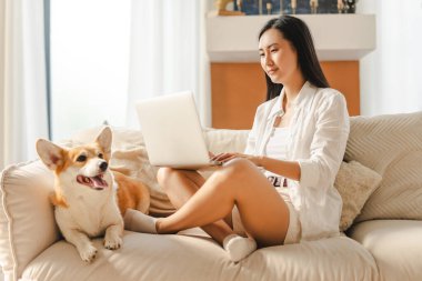 Güzel, gülümseyen Asyalı kadın dizüstü bilgisayarını kullanıyor ve köpeği kanepede oturuyor. Çevrimiçi teknoloji kavramı