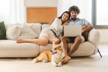 Genç bir çift rahat bir kanepede Corgi köpeğiyle birlikte dizüstü bilgisayar kullanıyor. Uyumlu, modern bir ev ortamında internette birlikte geziniyorlar. İlişki, çevrimiçi teknoloji kavramı