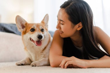 Genç, gülümseyen Asyalı kadın yerde Corgi 'sinin yanında uzanıyor ve evde huzurlu bir sabahın tadını çıkarıyor. Samimi ve huzurlu bir oturma odasında sevgi ve arkadaşlıkla dolu özel bir bağları var.