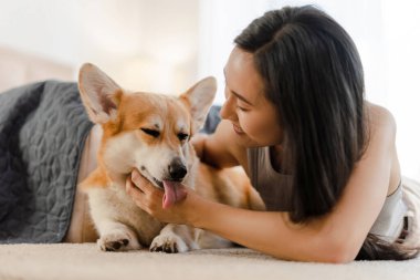 Genç, Asyalı bir kadın bir halıya uzanmış, zevk almak için dudaklarını yalayan, evcil Corgisini neşeyle okşuyor. Hayvan konseptine bayılırım.