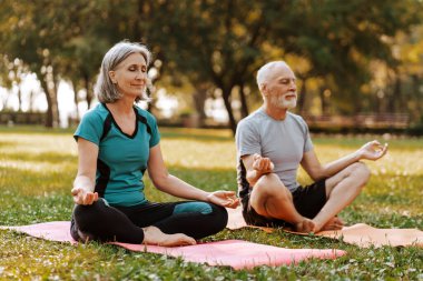 Üst düzey bir çift parkta huzur içinde meditasyon yapıyor, Nilüfer çiçeği pozunda oturarak sağlıklı ve aktif bir yaşam tarzını somutlaştırıyorlar. Sağlıklı yaşam tarzı kavramı