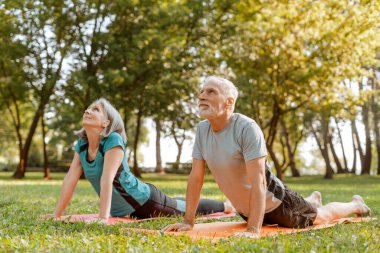 Kıdemli erkek ve kadın parkta yoga minderleri üzerinde geriniyorlar, aktif bir yaşam tarzının ve temiz havanın tadını çıkarıyorlar. Etkin yaşam tarzı kavramı