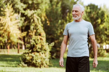 Heyecanlı, gülümseyen, tişörtlü, uzağa bakan, dışarı bakan, fotokopi alanından uzaklaşan, parkta poz veren son sınıf öğrencisi.