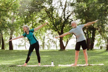 Yaşlı bir adam ve kadın spor minderleri üzerinde yoga yapıyorlar, fiziksel aktivitenin faydalarının keyfini çıkarıyorlar sağlık ve mutlulukları için. Spor konsepti