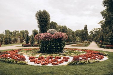Modern, şık peyzaj tasarımı, güzel çiçekli renkli çiçek yatakları, caddelerde iyi korunmuş. Reklam kavramı