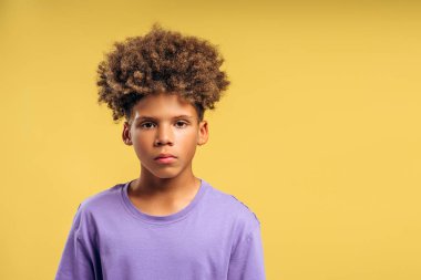 Ciddi, mutsuz, kıvırcık saçlı, kameraya bakan, sarı arka planda izole bir şekilde poz veren Afrikalı Amerikalı bir çocuğun portresi, kopyalama alanı. Saç bakım konsepti
