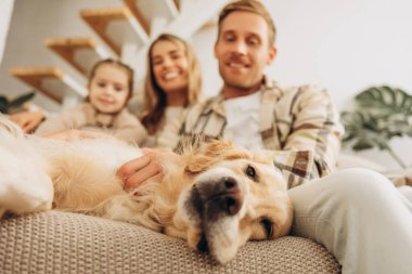 Gülümseyen, mutlu bir kadın ve erkek portresi, genç bir ailenin altın köpeği, seçici bir odak, yakın plan, rahat bir koltukta oturuyor. Hayvan sevgisi konsepti