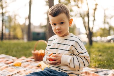 Elma tutan yakışıklı, küçük bir çocuğun portresi. Parktaki yeşil çimlerin üzerinde battaniyeye oturmuş kameraya bakıyor. Piknik, rahatlatıcı konsept