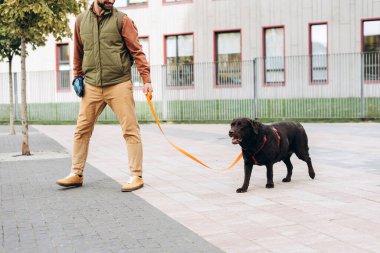 Gülümseyen bir adamın portresi. Sahibi sokakta tasmalı güzel bir siyah köpeğe eşlik ediyor. Hayvan sevgisi konsepti