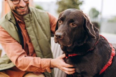 Sahibinin portresi güzel siyah köpek, labrador, sokakta bankta birlikte oturuyor, evcil hayvana odaklanıyor. Hayvan konseptine bayılırım.