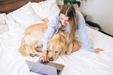 Evden uzak çalışan pijamalı genç bir kadın yanında uzanan golden retriever köpeğiyle eğlenirken dizüstü bilgisayarını kullanıyor ve rahat bir ortam yaratıyor.