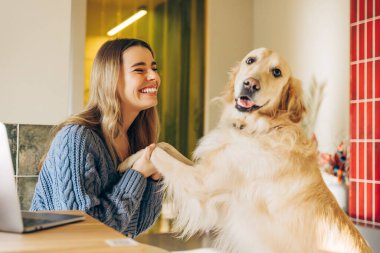 Modern bir mutfakta dizüstü bilgisayarla çalışırken sevimli Golden Retriever 'ının pençelerini tutarak mutlu ve rahat bir anın tadını çıkaran genç serbest çalışan kadın.