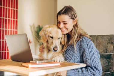 Ev ofisinden bilgisayarla uzaktan çalışan genç bir kadın, modern apartmandaki masada oturan sevimli Golden Retriever köpeğine sarılıyor.