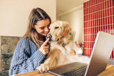 Sıcak ofisinde uzaktan çalışan genç bir kadın, bir dizüstü bilgisayar kullanarak, sevgi dolu Golden Retriever 'ını okşayarak, sıcak bir arkadaşlık ortamı yaratıyor.
