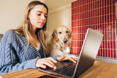 Genç bir kadın mutfakta dizüstü bilgisayarla çalışırken Golden Retriever köpeği tuhaf bir şekilde omzunun üzerinden izlerken rahat bir atmosferi somutlaştırıyor.