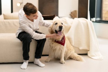 Genç çocuk modern bir kanepede oturuyor, neşeli golden retriever köpeğini zevkle okşuyor sıcak ve sevgi dolu sıcak bir oturma odasında canlı kırmızı bir bandana takıyor.
