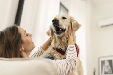 Genç kadın, sevimli Golden Retriever 'ını neşeyle kucaklıyor, nazikçe yüzünü tutuyor ve evlerinin rahatlığında derin sevgi ve bağlarını ifade ediyor.