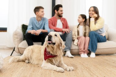 Kırmızı bandana takan Golden retriever köpeği modern bir oturma odasında dört kişilik bir ailenin önünde bir halının üzerinde uzanıyor.