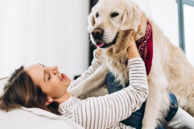 Sıcak bir kanepede uzanmış, neşeli Golden retriever 'ıyla neşe içinde oynuyordu. Neşeli, güneşli bir odada parlak kırmızı bir bandana takıyordu. İçi sıcaklık ve konforla doluydu.
