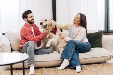 Genç çift, sevgili Golden Retriever 'larıyla güzel vakit geçirip sıcak oturma odalarında iç açıcı bir mutluluk sahnesi yaratıyorlar. Hayvan konseptine bayılırım.