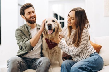 Gülümseyen adam ve kadın, modern oturma odalarında rahat bir kanepede oturup, sevgi ve dostluk dolu bir anın tadını çıkarırken, sevimli Golden Retriever köpeklerine sarılıyorlar.