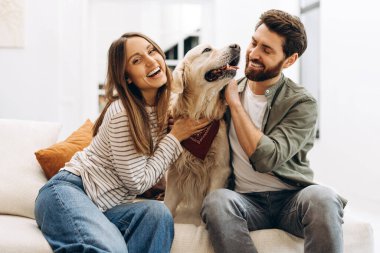 Gülümseyen çift, sevimli Golden Retriever 'larını kucaklarken modern oturma odalarında rahat bir kanepede, sevgili evcil hayvanlarıyla güzel vakit geçiriyorlar.