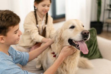 Erkek ve kız kardeşler oturma odasındaki rahat bir kanepede oturup sevgili köpekleriyle güzel vakit geçirirken Golden Retriever köpeklerini seviyorlar.