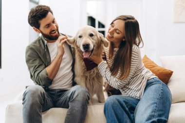 Gülümseyen adam ve kadın, modern oturma odalarında rahat bir kanepede otururken, sevimli Golden Retriever köpeklerine sarılıyorlar.