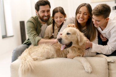 Gülümseyen aile fertleri, oturma odasındaki rahat bir kanepede dinlenirken dost canlısı golden retriever köpeklerini okşayarak evde kaliteli zaman geçirmenin keyfini çıkarıyorlar.