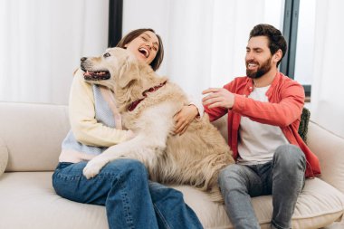 Genç çift rahat bir kanepede oturuyor, Golden Retriever köpekleri ile gülüyor, sevgi ve mutlulukla dolu neşeli ve rahatlatıcı bir anı paylaşıyorlar.